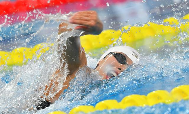 捷克游泳天才出击，飘逸身姿夺得冠军的简单介绍
