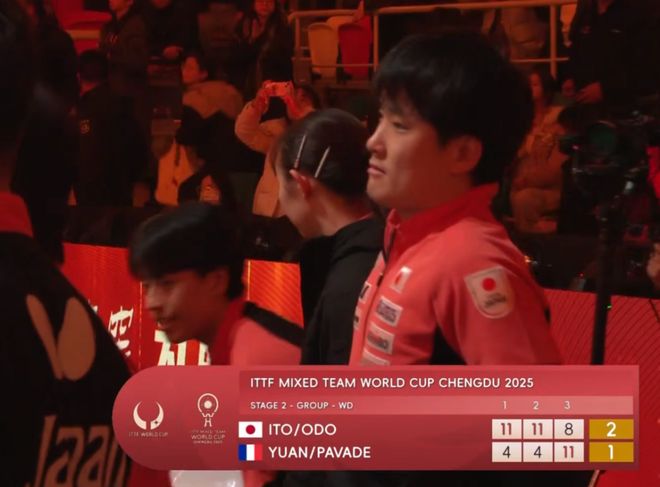 德国队碾压法国队，张本智和带队取胜的简单介绍