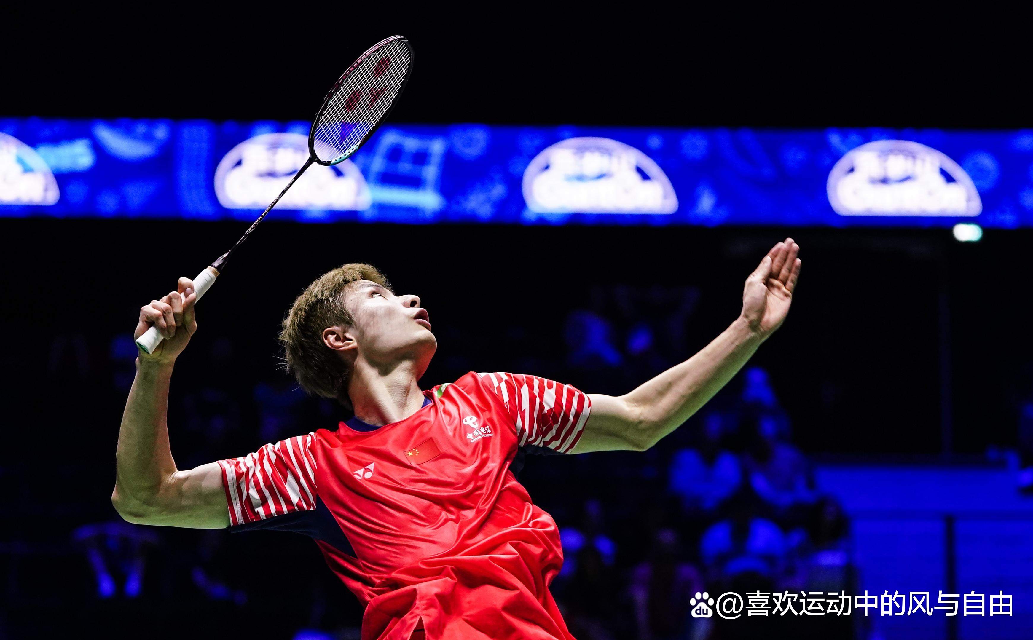 丹麦队轻取日本队，安赛龙惊艳四座的简单介绍