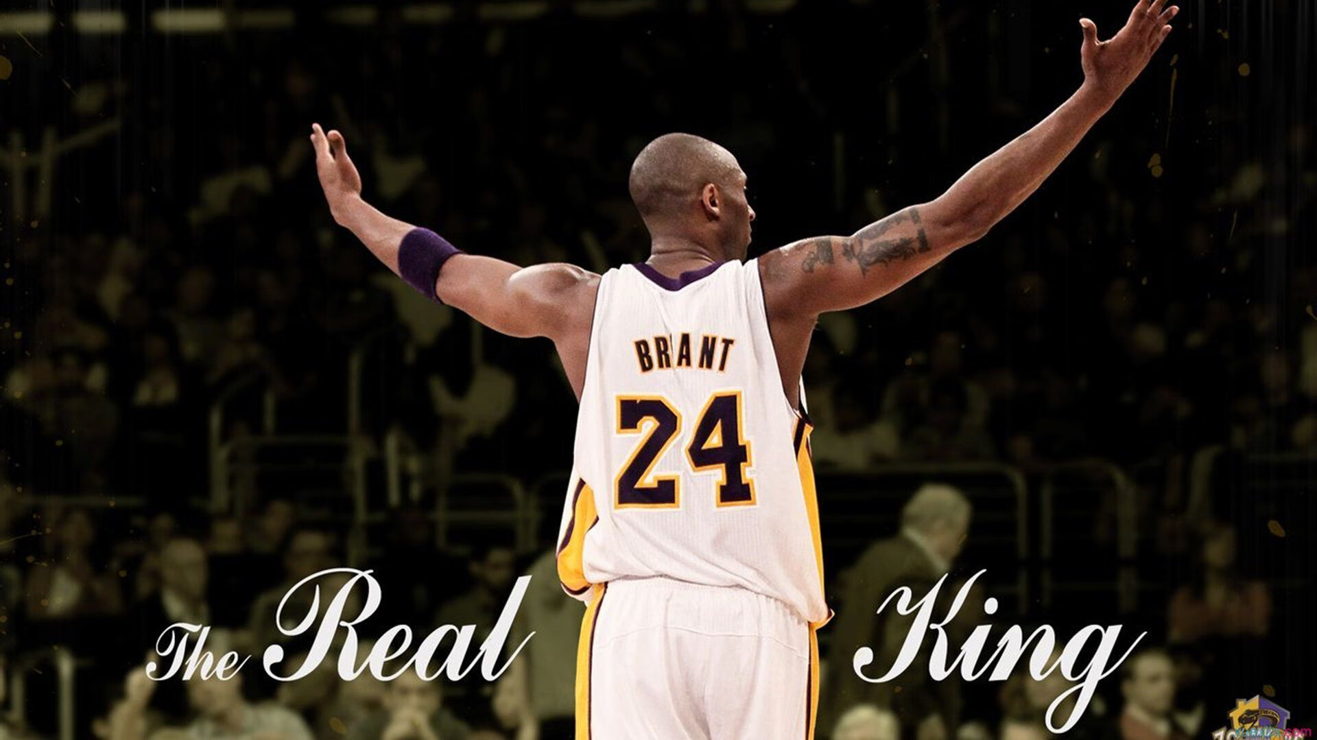 猛龙封锁掘金，切特主宰比赛走向