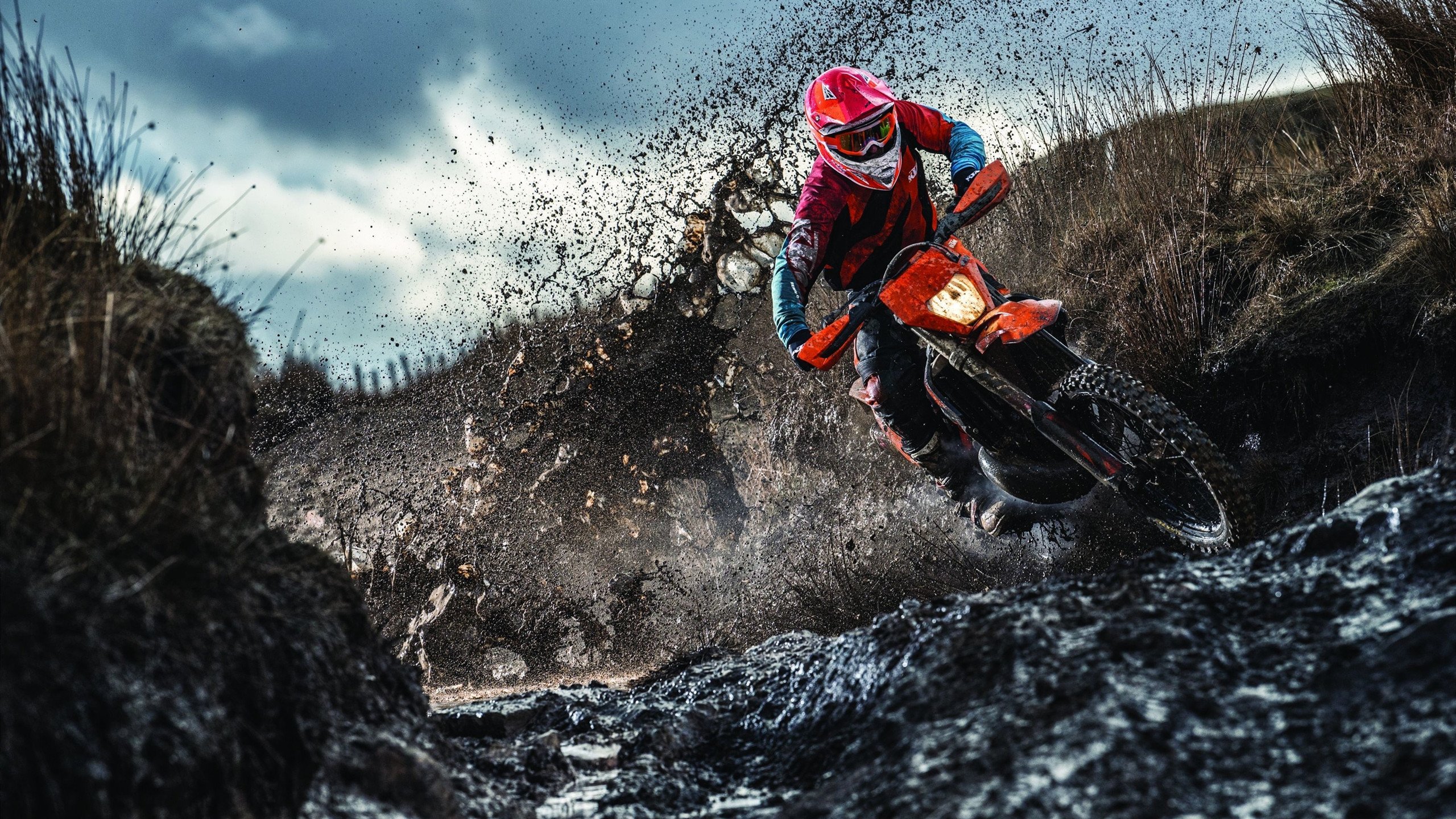 奥恰洛夫制胜一锤定音，瑞典队战术完胜波兰显团队智慧